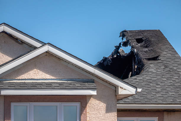 Top rated local Soot Cleanup specialists in New Market, VA